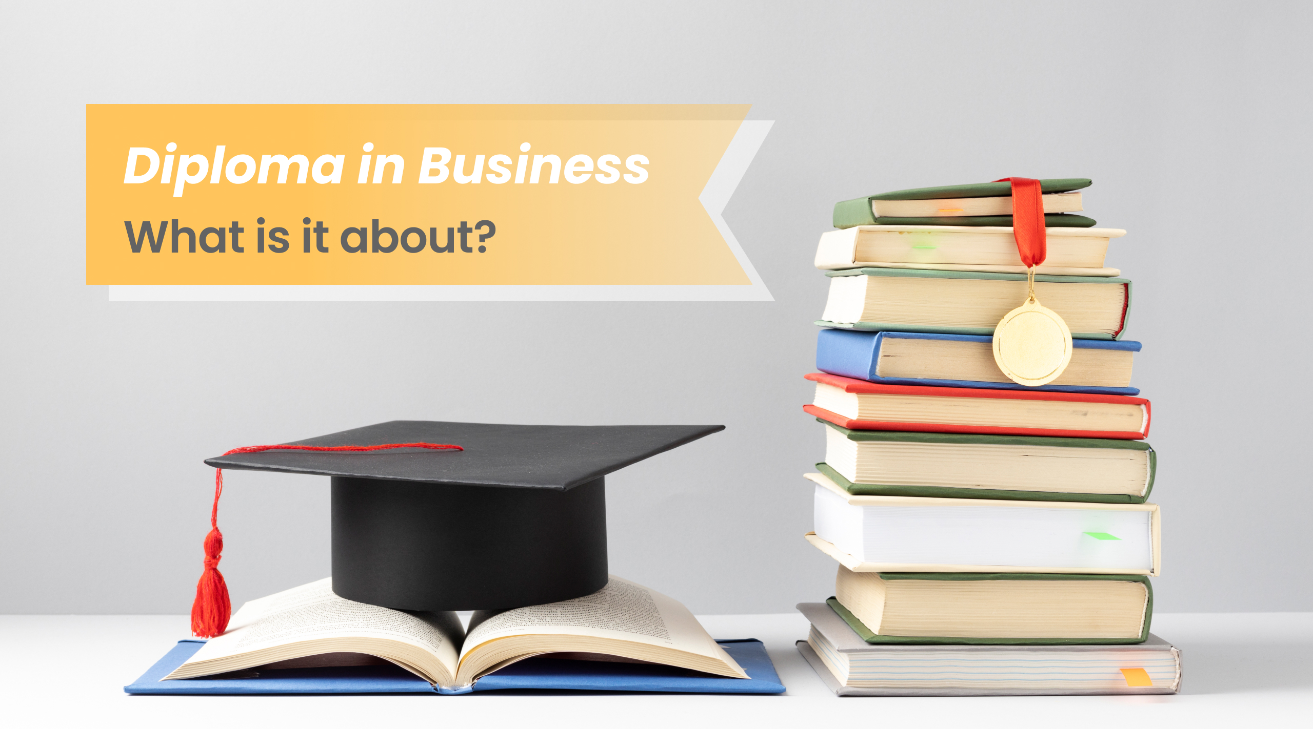 Diploma in Business: What is it about?